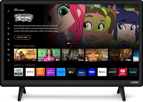 VIZIO 24-Inch D-Series Full HD 1080p Smart TV with Apple AirPlay and ...