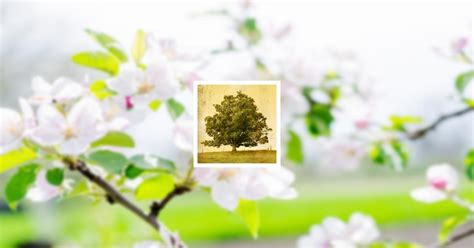 Obituary | RADIO ANNOUNCEMENTS | BERRY O. WADDY FUNERAL HOME