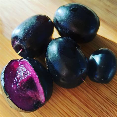 What Are Jamun Called In English at Jorja Tolman blog