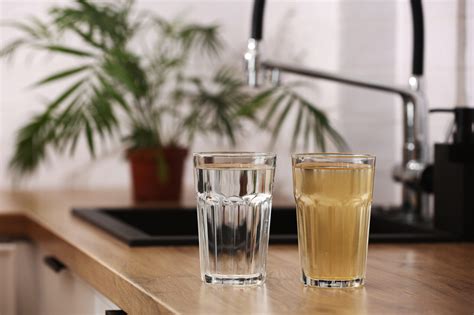 Common Signs of Poor Water Quality, Franklin Park & Hillsborough