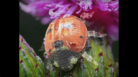 Galaxy Computer Screen 的图像结果