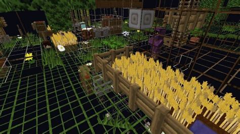 Image result for Java X-ray Resource Pack