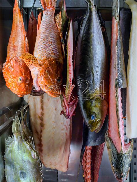 Ψυγείο Θάλαμος Ωρίμανσης Ψαριών DRY AGE EVERLASTING 700 (VP) Ιταλικό ...