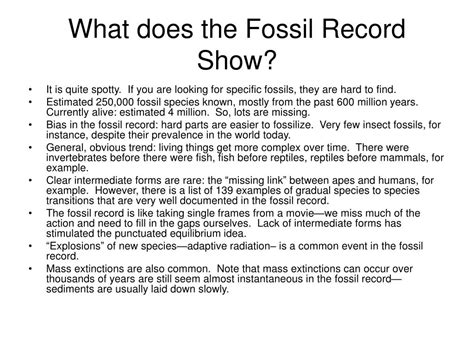 Image result for Macroevolution Fossils