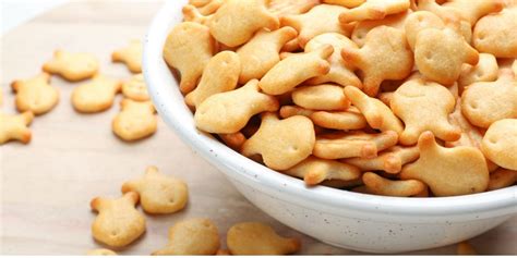 Image result for How Fast Can Dogs Run