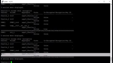 NetApp Encryption 的图像结果