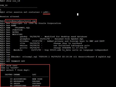 Image result for How to Connect to Scott Schema From SQL Command Line