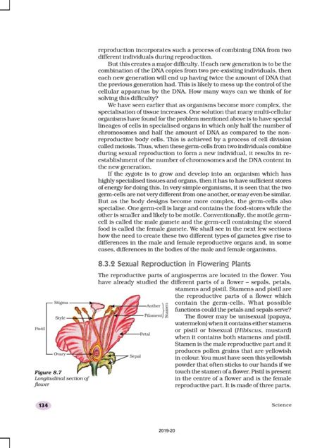 Image result for Class 10 Bio Chapter 8