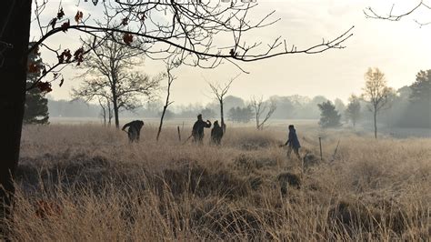 Image result for Roman Army