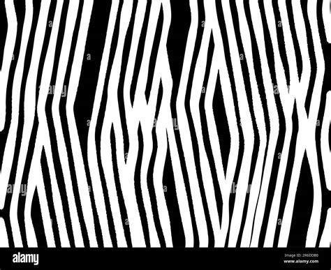 Image result for Zebra Background