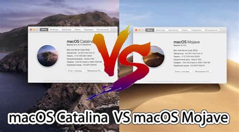 Mojave vs Catalina - Should you upgrade? - Spacehop