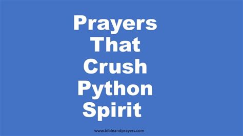Image result for Python Script for Crush