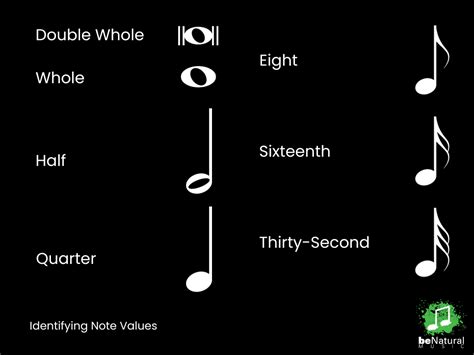 Image result for Note Values Music Theory