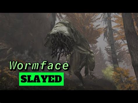 Wormface Script 的图像结果