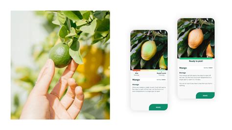 How to Use Behance Create a Project 的图像结果