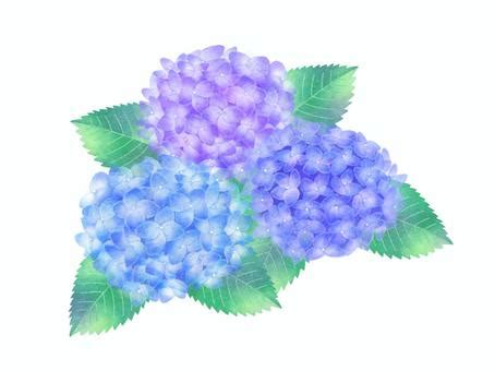 Image result for Static Testing and Dynamic Testing Tools