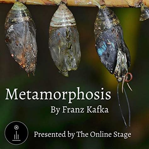 Metamorphosis (Audio Download): Franz Kafka, Leanne Yau, Glenn Hascall ...
