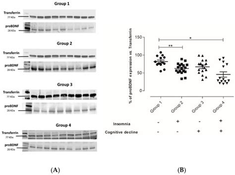 Insomnia Impairs Both the Pro-BDNF and the BDNF Levels Similarly to ...