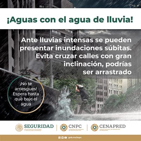 Protección y seguridad: no subestimes su importancia