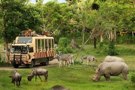 Bali Safari & Marine Park (Gianyar) - 2021 What to Know Before You Go ...