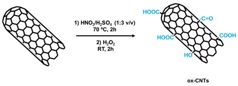 Sulfur-Modified Carbon Nanotubes for the Development of Advanced ...