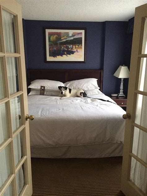 HILTON KANSAS CITY COUNTRY CLUB PLAZA - Hotel Reviews, Photos, Rate ...