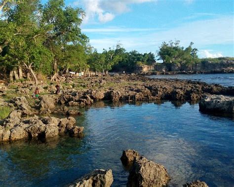 SUNSET BUNGALOWS (Lenakel) - Guesthouse Reviews & Photos - Tripadvisor