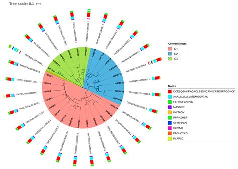 Genome-Wide Identification of the Defensin Gene Family in Triticum ...