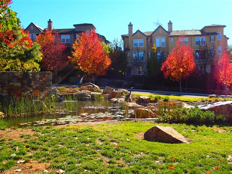 Top 10 Why We Love Living in San Elijo Hills San Marcos