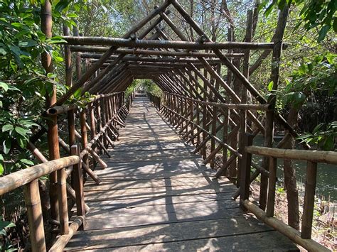 EKOWISATA MANGROVE WONOREJO - All You Need to Know BEFORE You Go 2026 ...