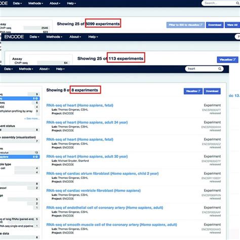 Image result for Encode Documents