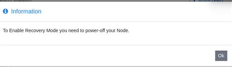 Access node in recovery mode | E2E Cloud