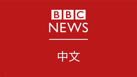 新闻专辑：2022美国中期选举 - BBC News 中文