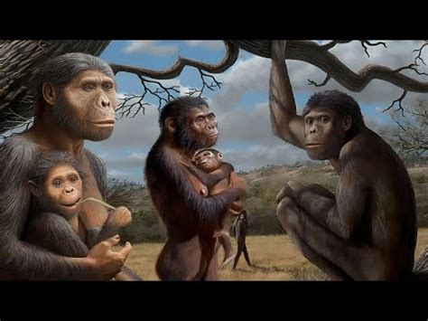 How Were Humans Formed 的图像结果