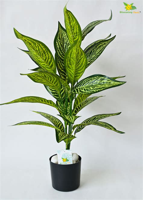 Artificial Ivory White Croton Plant having 26 Leaves with Pot | 71.1 c ...