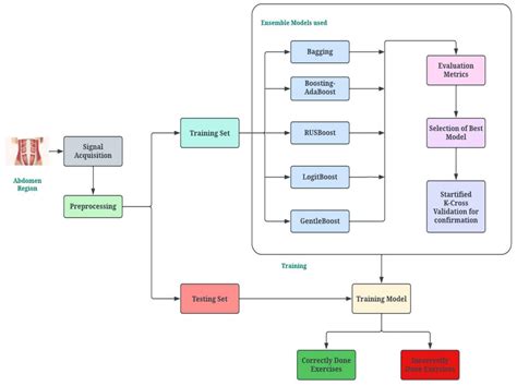 Anatomy of abdominal muscles for normal and DRA controls. | Download ...