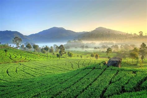 Jakarta Volcano White Crater and Natural Hot Spring in West Java (with ...