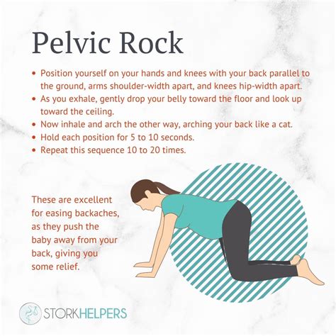 Pregnant Exercise: Pelvic Rock | Pregnancy workout, Pregnancy yoga ...
