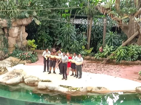 Amazon River Quest - Tripopola