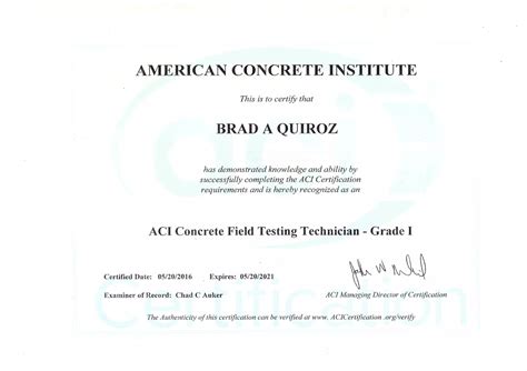 ACI Testing 的图像结果