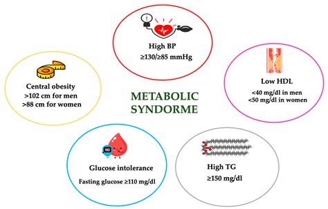 Vegan Diet Health Benefits in Metabolic Syndrome