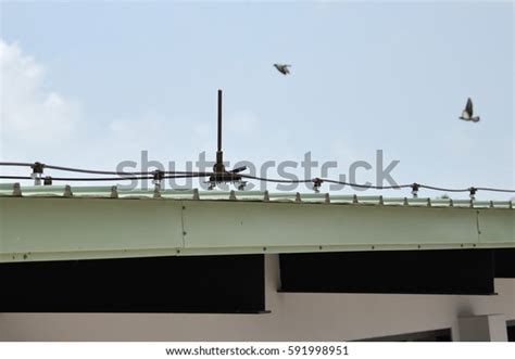 Image result for Lightning Protection Components