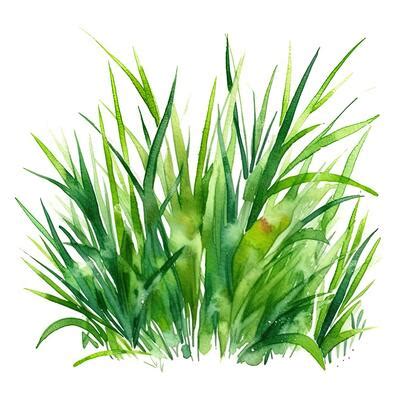 Image result for Watercolor Grass Tutorial