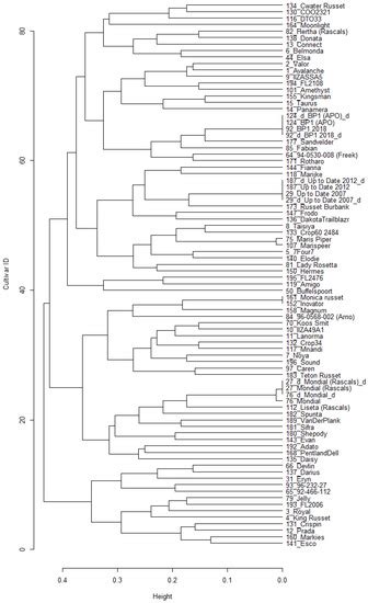 Potato Cultivar Identification in South Africa Using a Custom SNP Panel