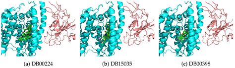 Predicting Potential SARS-COV-2 Drugs—In Depth Drug Database Screening ...