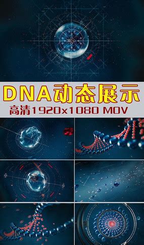 DNA双螺旋模型素材PSD免费下载_红动网