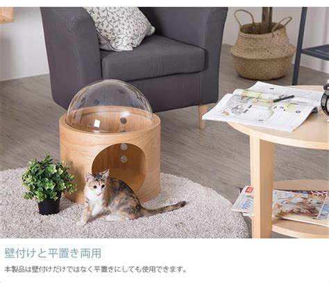 Buy MYZOO Spaceship Gamma, Pet Bed for Cat & Dog, Window Perch, Cat ...