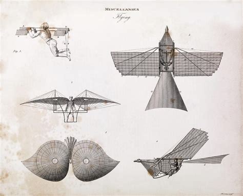 Human Flight Experiments 的图像结果