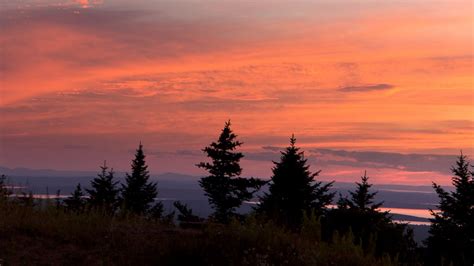 Download wallpaper 1280x720 trees, sunset, sky, clouds, outlines hd ...