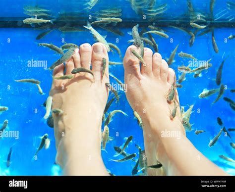 What Is A Pedicure With Fish at Stephanie Dampier blog